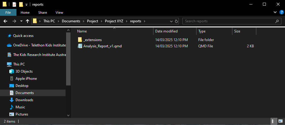Figure 4: Creation of skeleton report, with associated styling (in /_extensions).